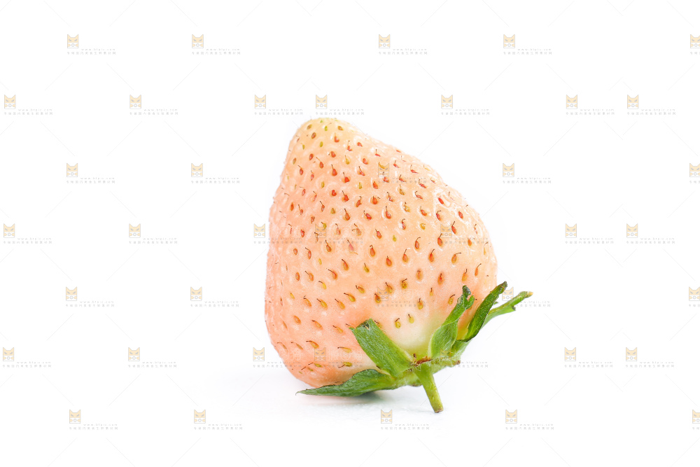 白底上的淡雪草莓