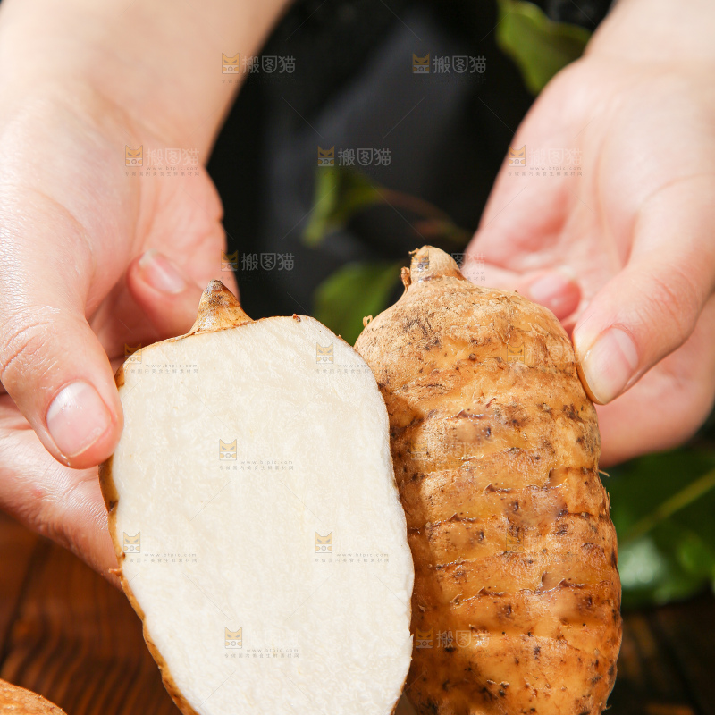 木底上的天麻