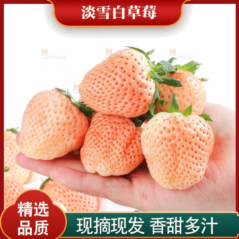 白底上的淡雪草莓