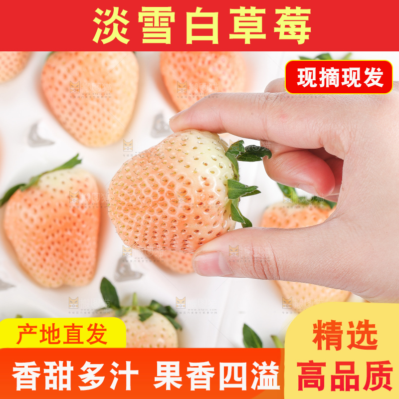 白底上的淡雪草莓