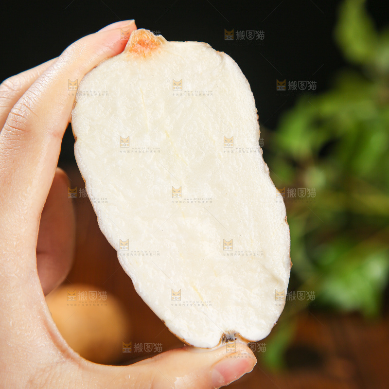 木底上的天麻