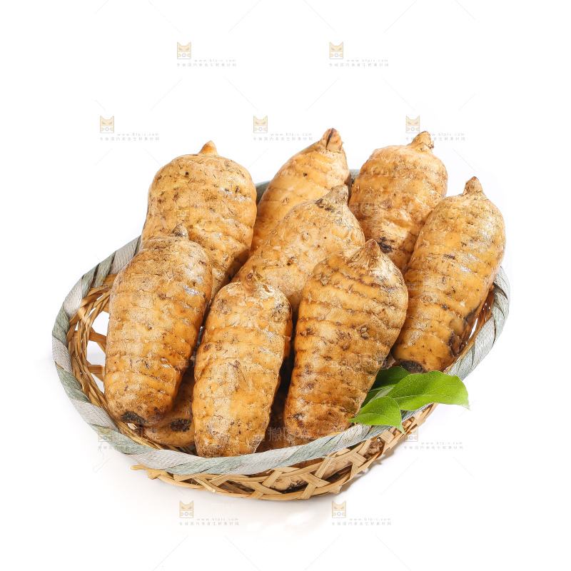 白底上的天麻