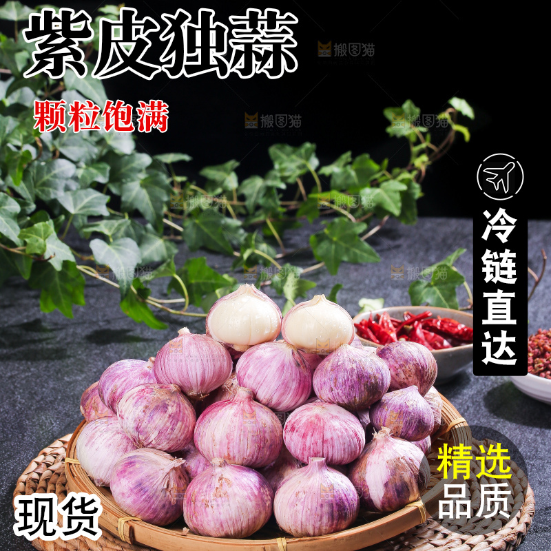 深底上的紫皮独蒜