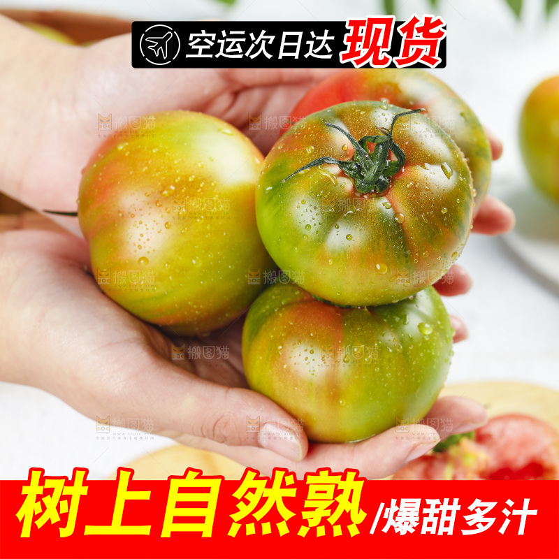 浅底上的铁皮西红柿