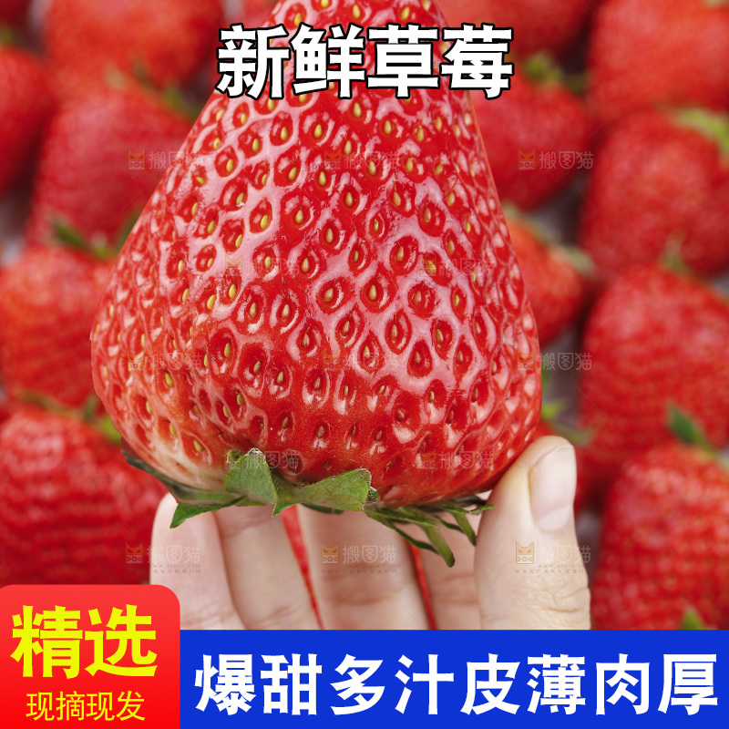 手里拿着丹东草莓