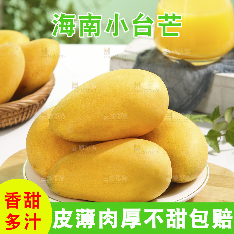 浅底上的小台芒