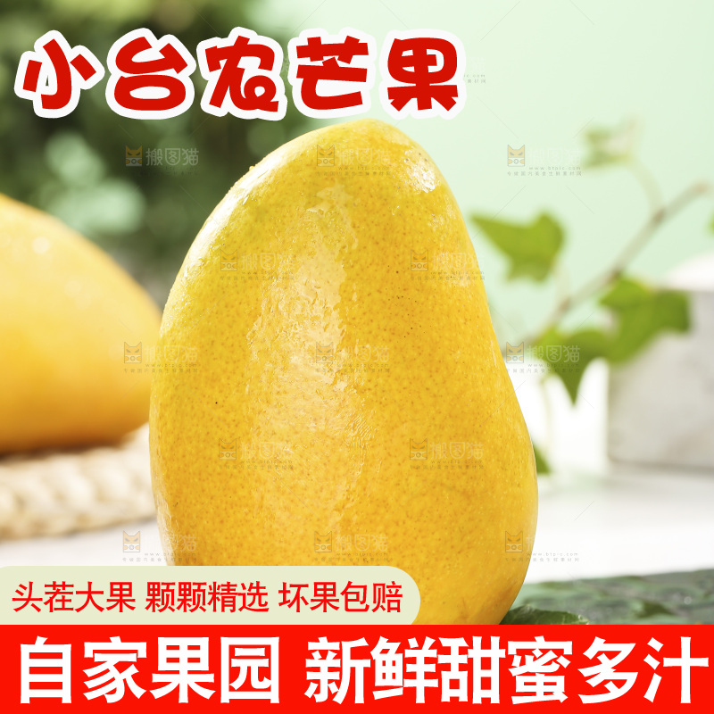 浅底上的小台芒