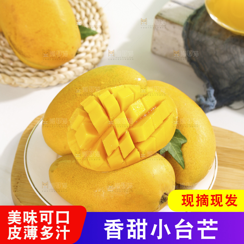 浅底上的小台芒