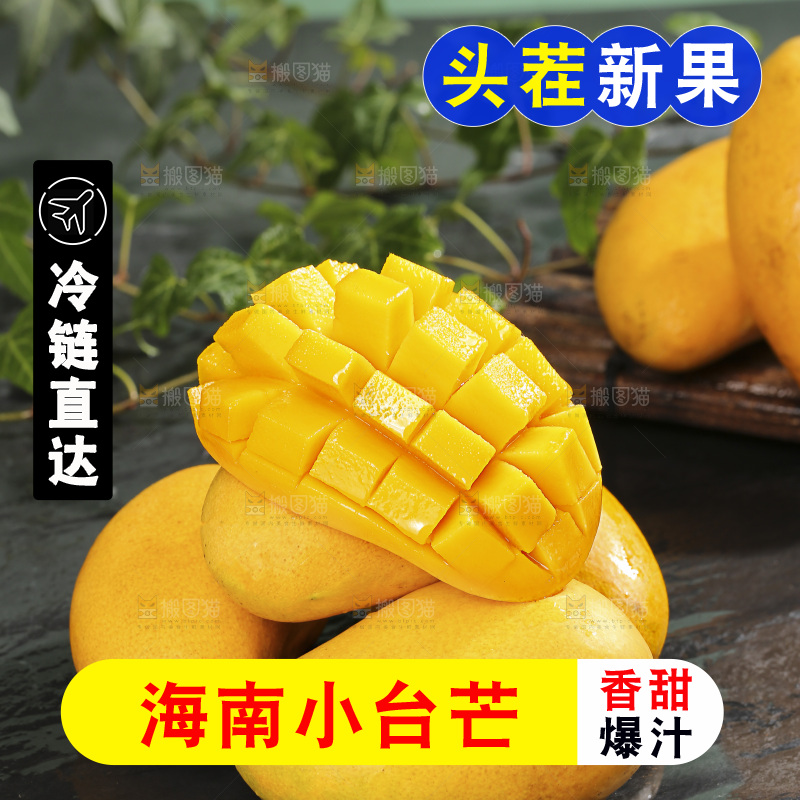 深底上的小台芒