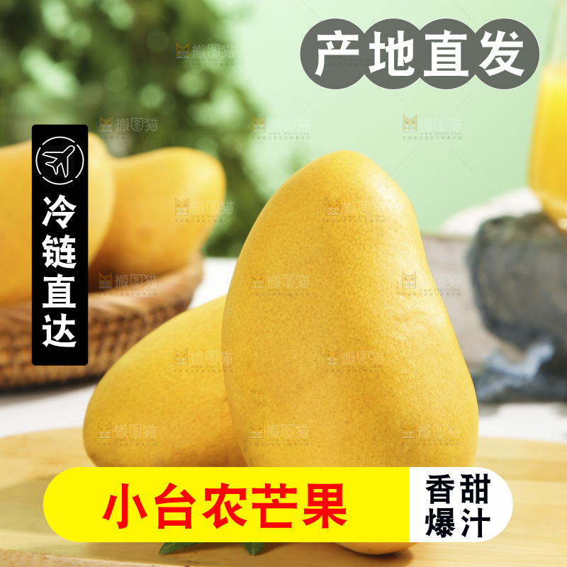 浅底上的小台芒