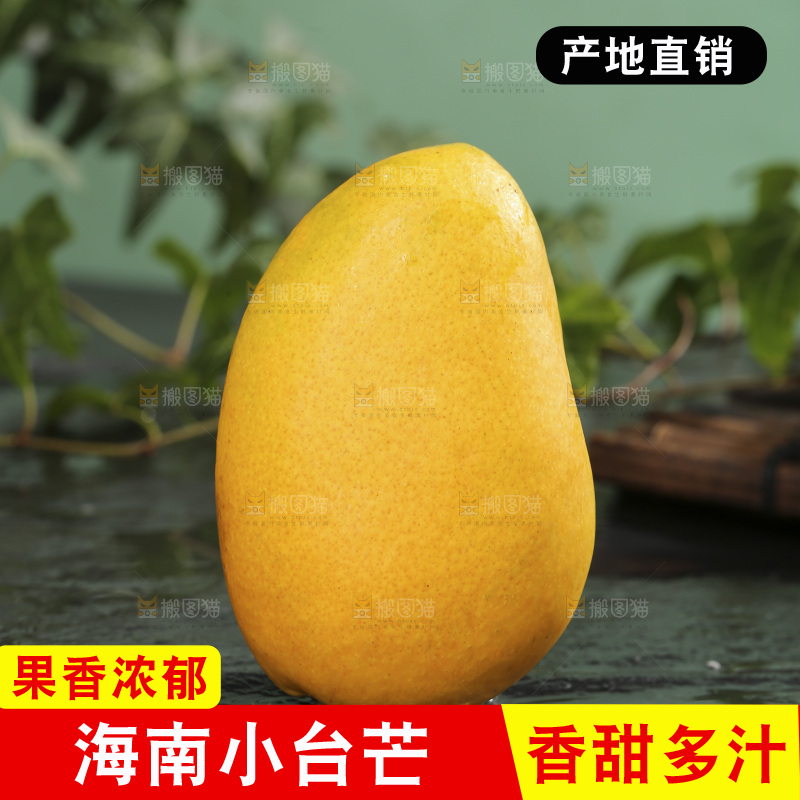 深底上的小台芒
