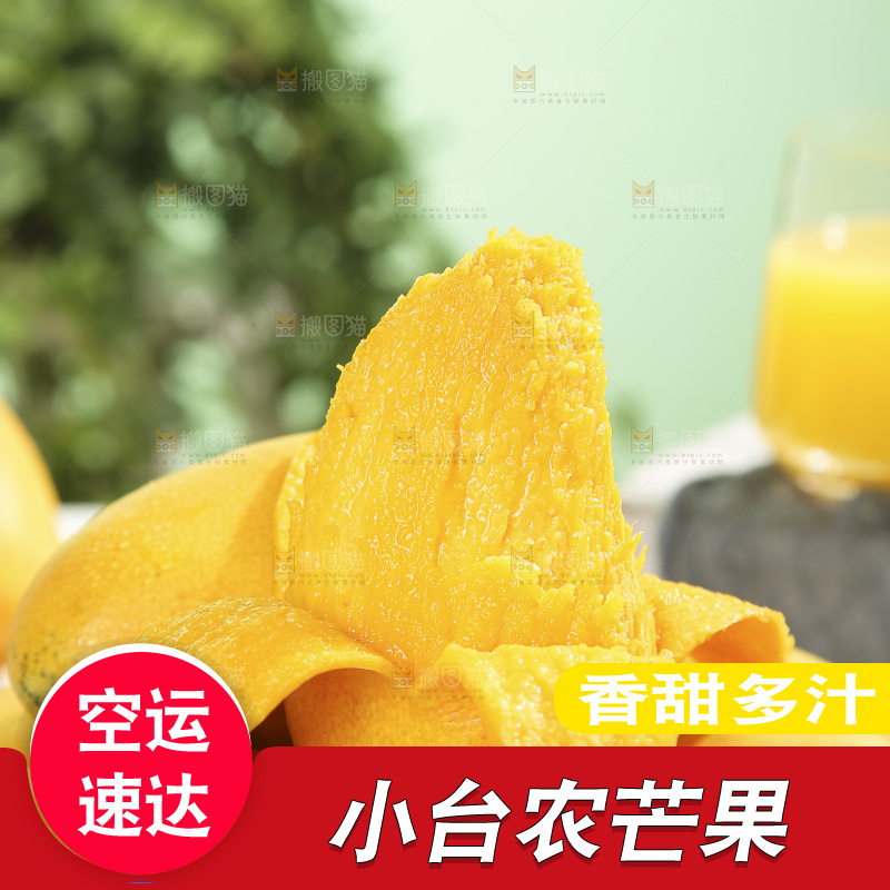 浅底上的小台芒