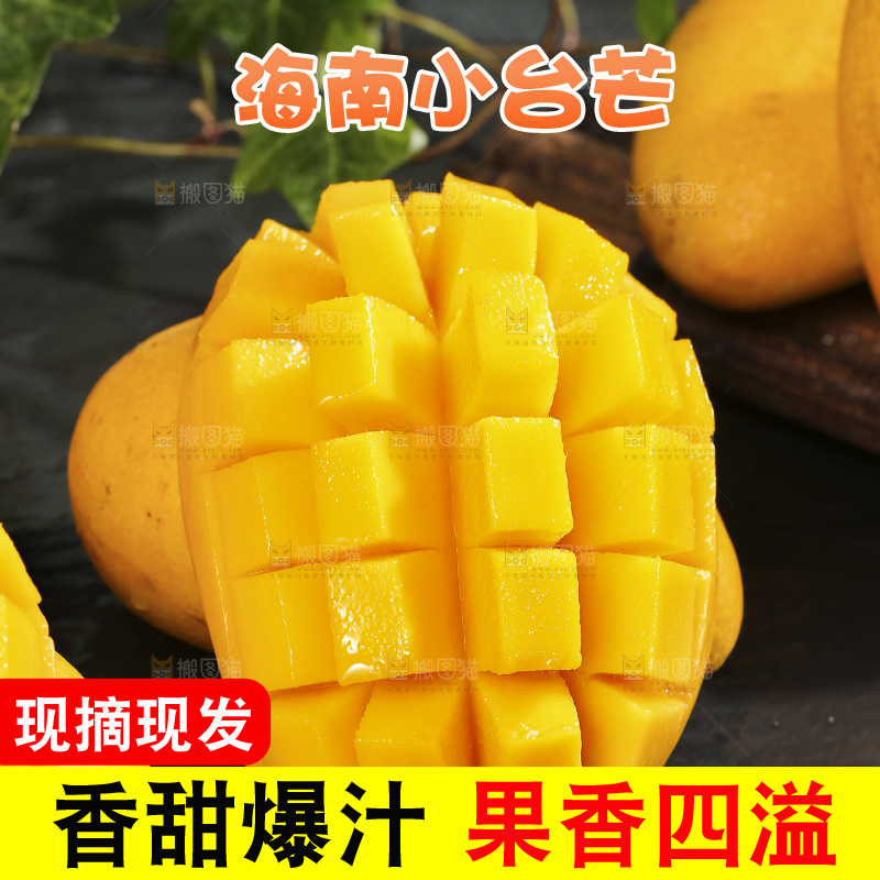 深底上的小台芒