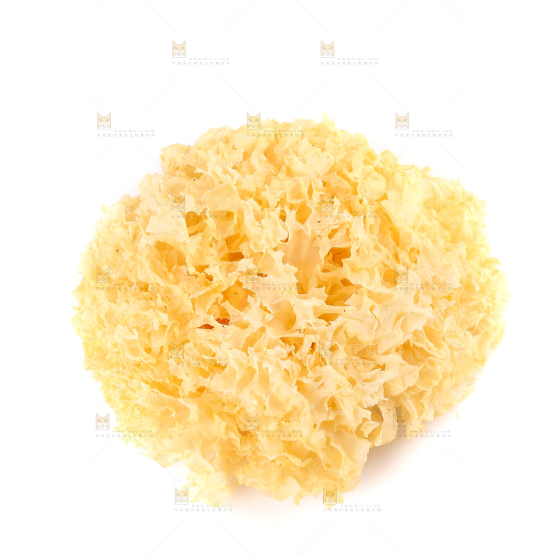 白底上的雪银耳