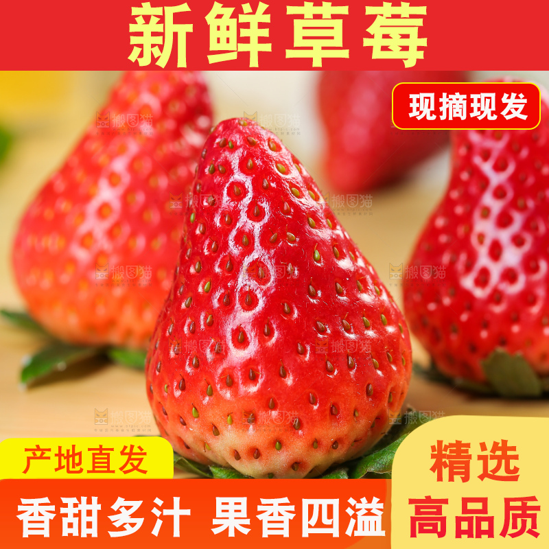 浅底上的丹东草莓