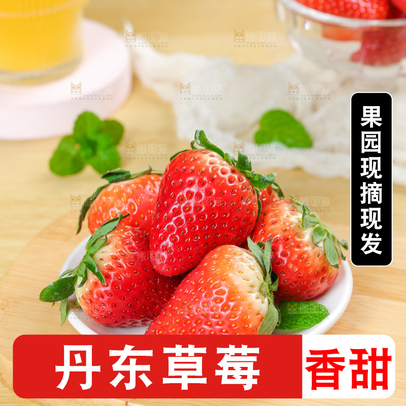 浅底上的丹东草莓
