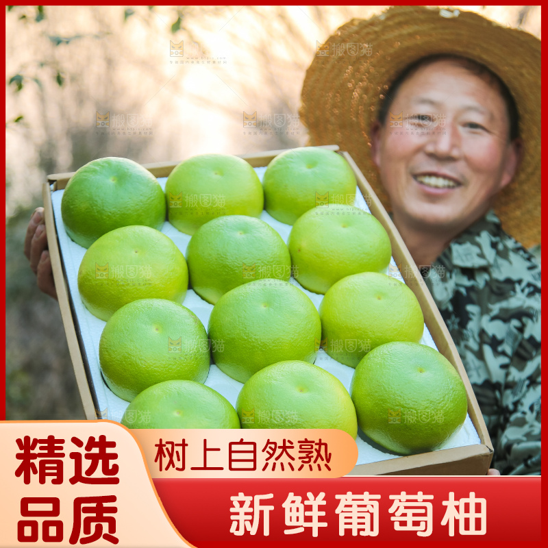 手里拿着青皮葡萄柚