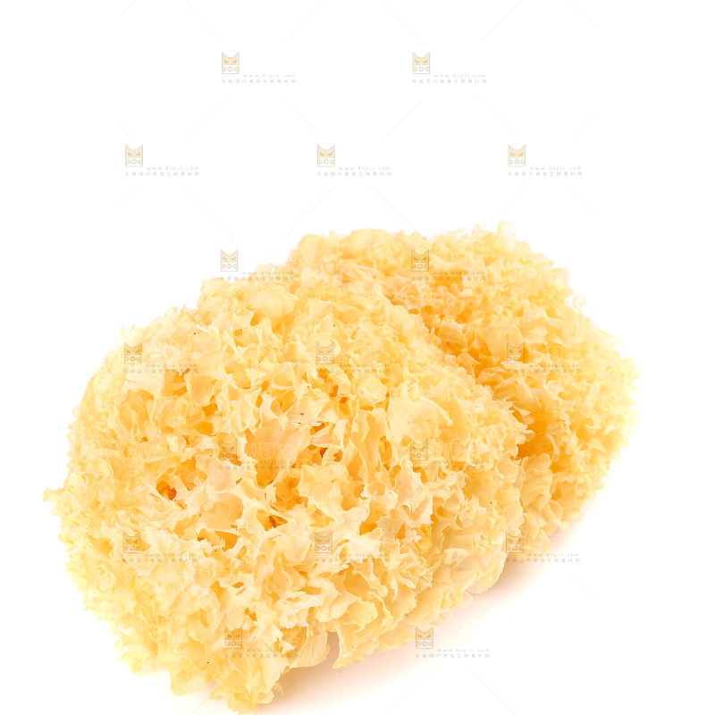 白底上的雪银耳