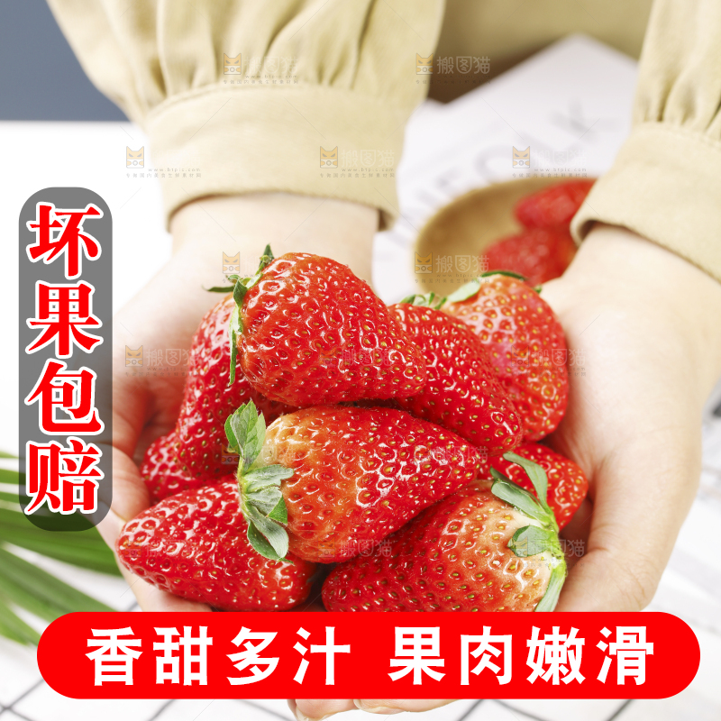 浅底上的丹东草莓