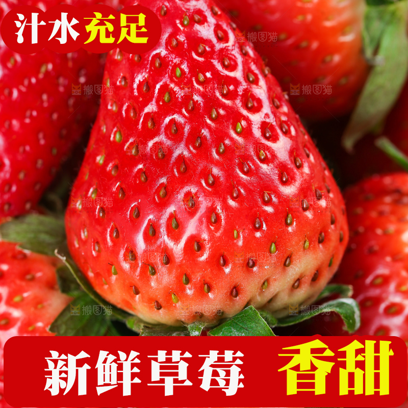 浅底上的丹东草莓