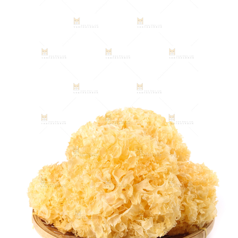 白底上的雪银耳