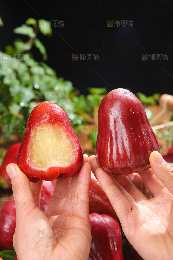 深底上的黑金刚莲雾