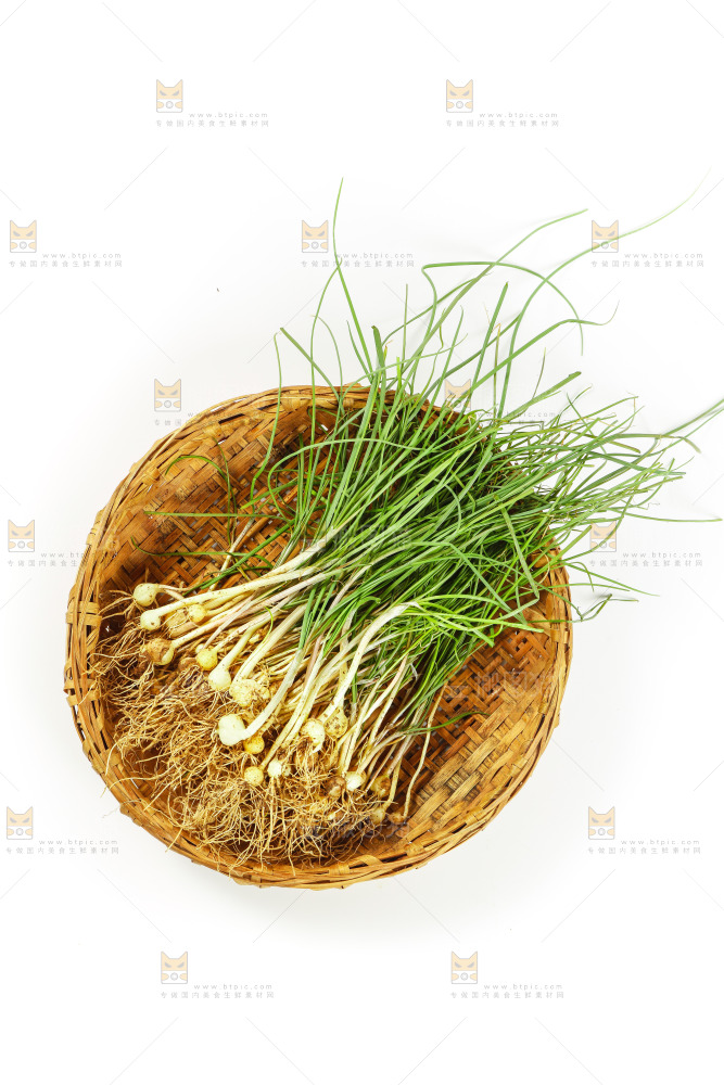 白底上的野葱