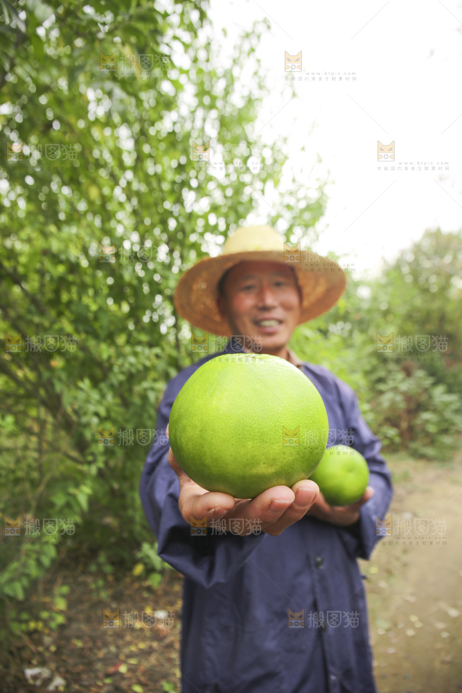 手里拿着青皮葡萄柚