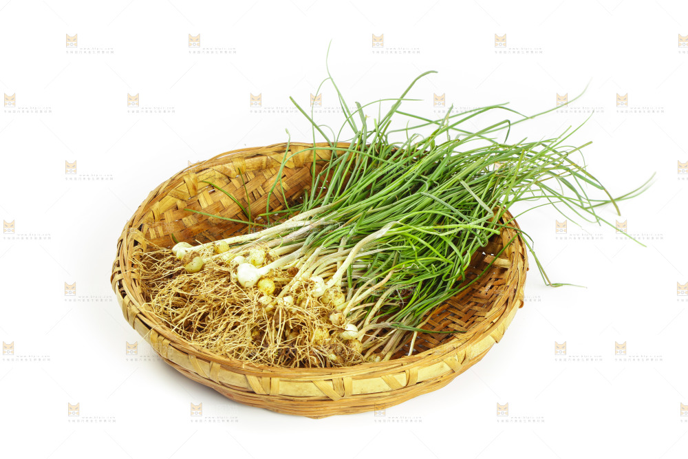 白底上的野葱