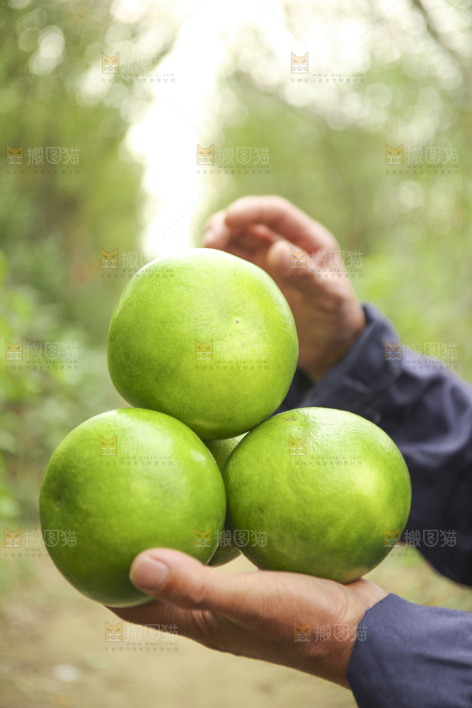 手里拿着青皮葡萄柚