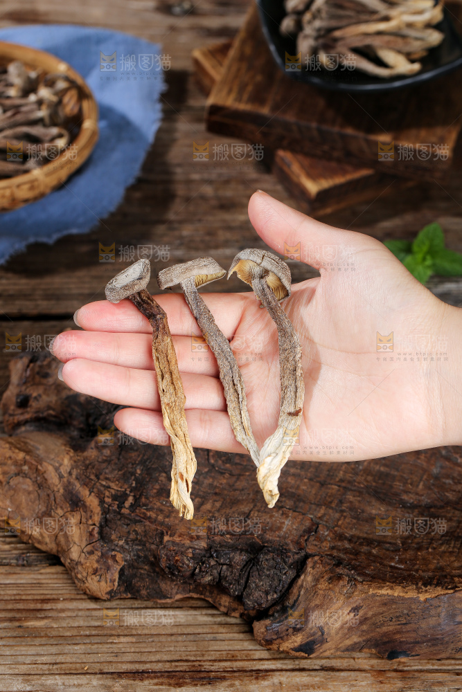 深底上的鹿茸菇