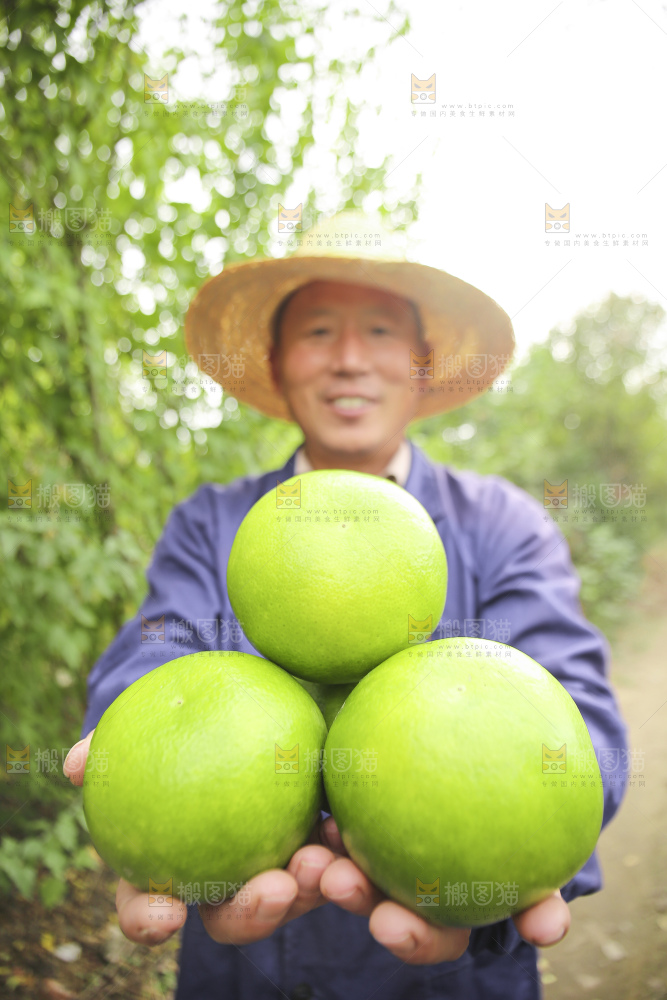 手里拿着青皮葡萄柚