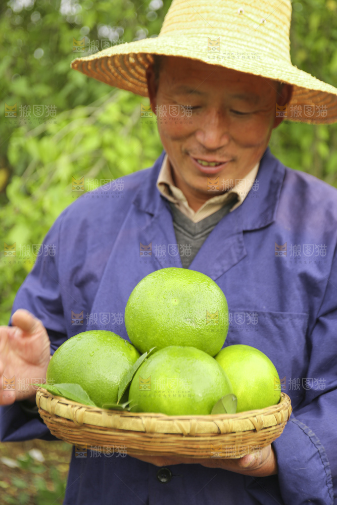 手里拿着青皮葡萄柚