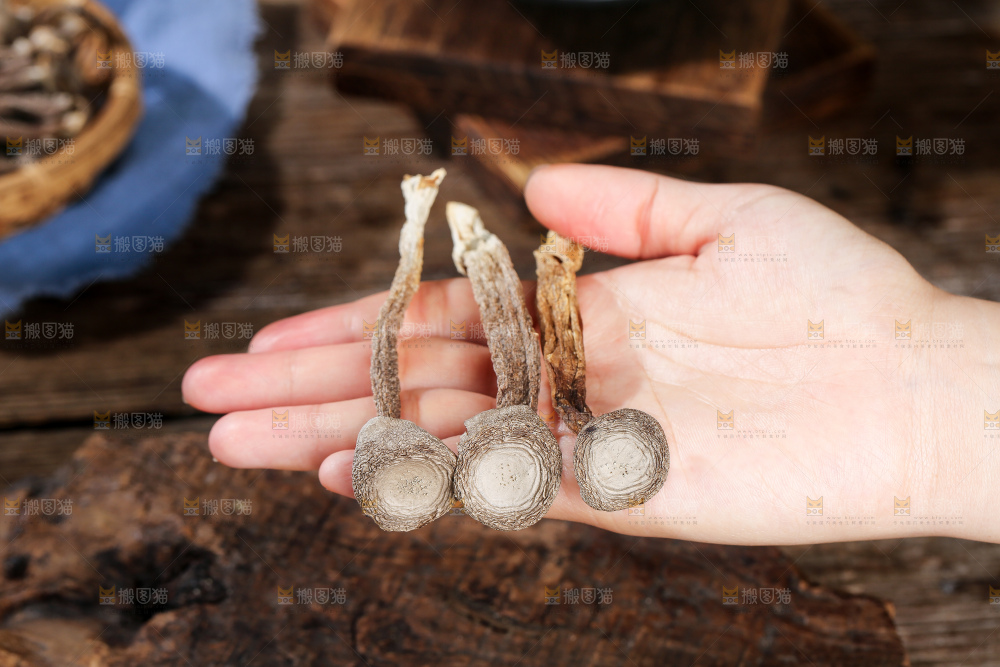 深底上的鹿茸菇