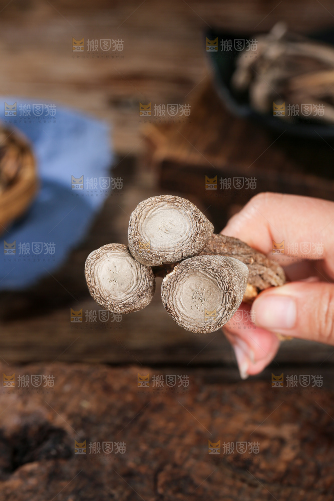 深底上的鹿茸菇
