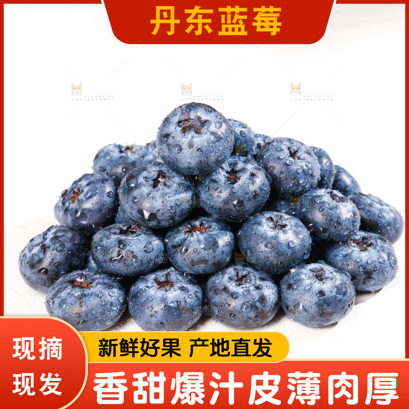 浅底上的新鲜蓝莓
