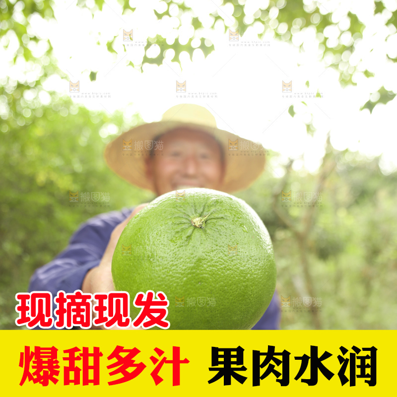 手里拿着青皮葡萄柚