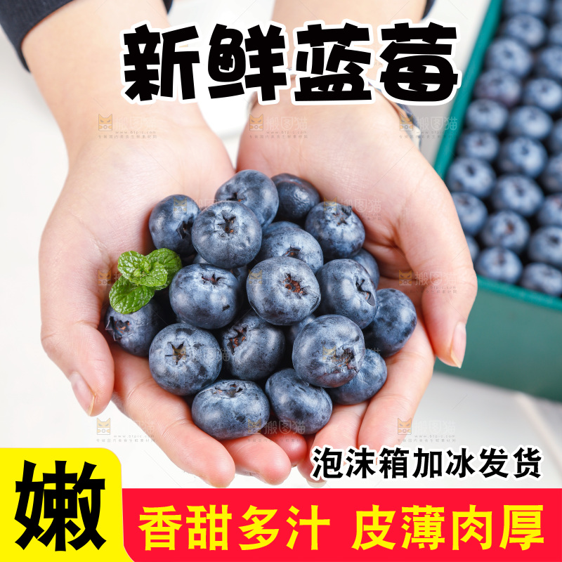 浅底上的新鲜蓝莓