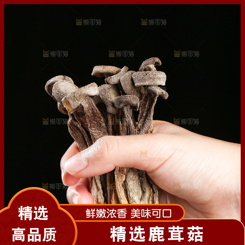 深底上的鹿茸菇