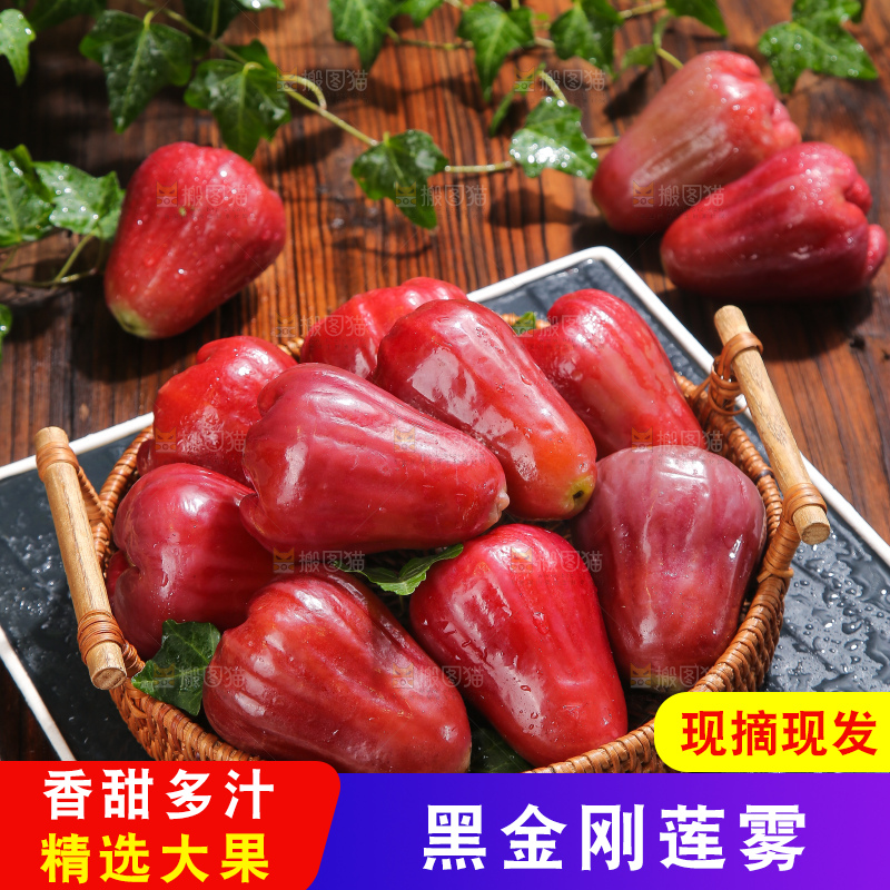 深底上的黑金刚莲雾