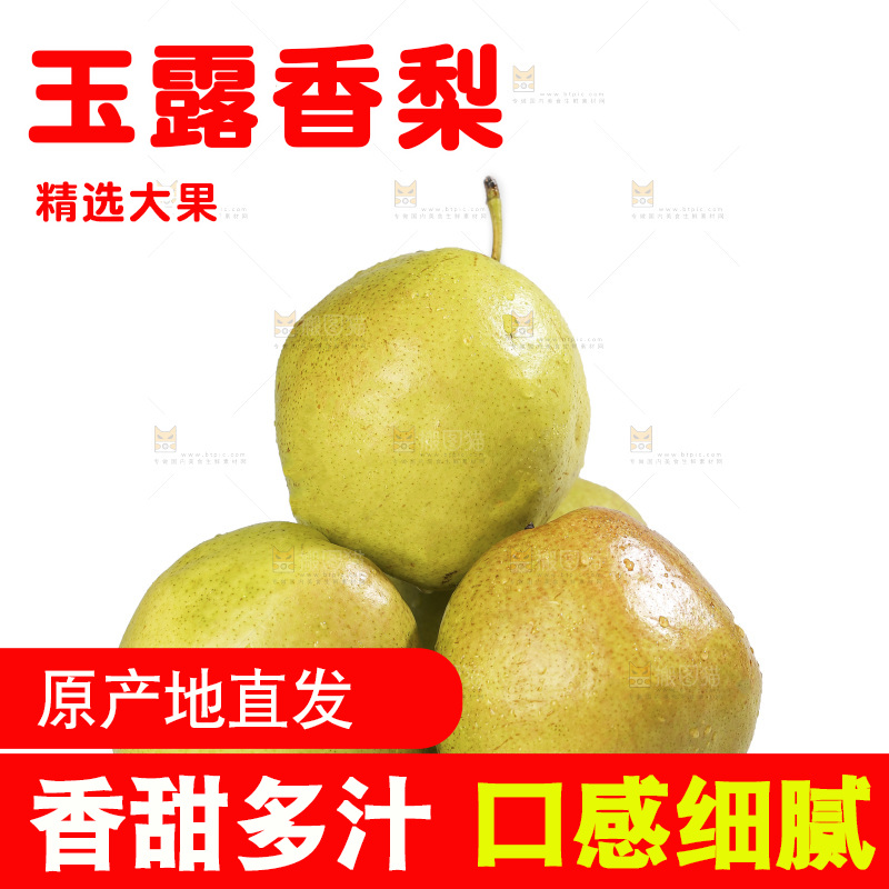 白底上的玉露香梨