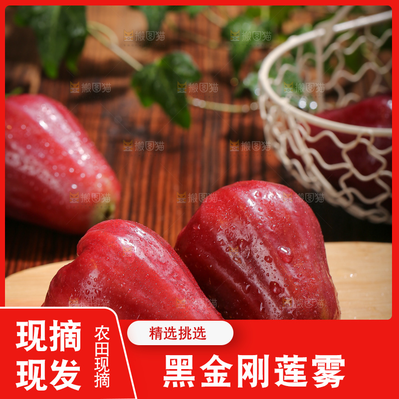 深底上的黑金刚莲雾