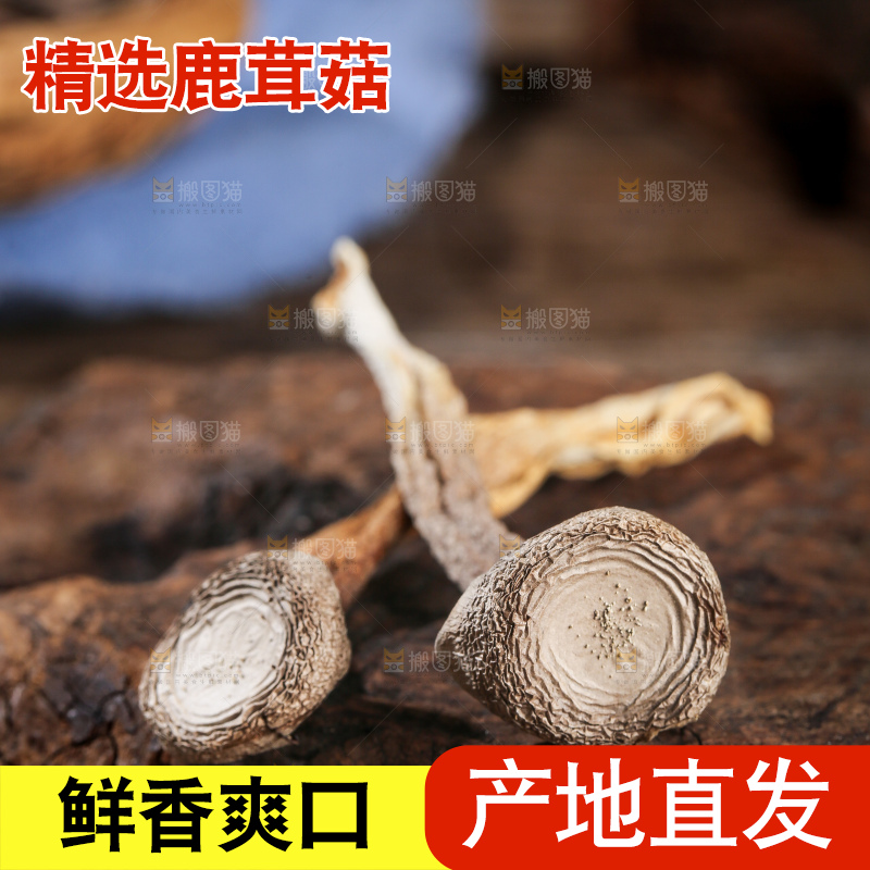 深底上的鹿茸菇