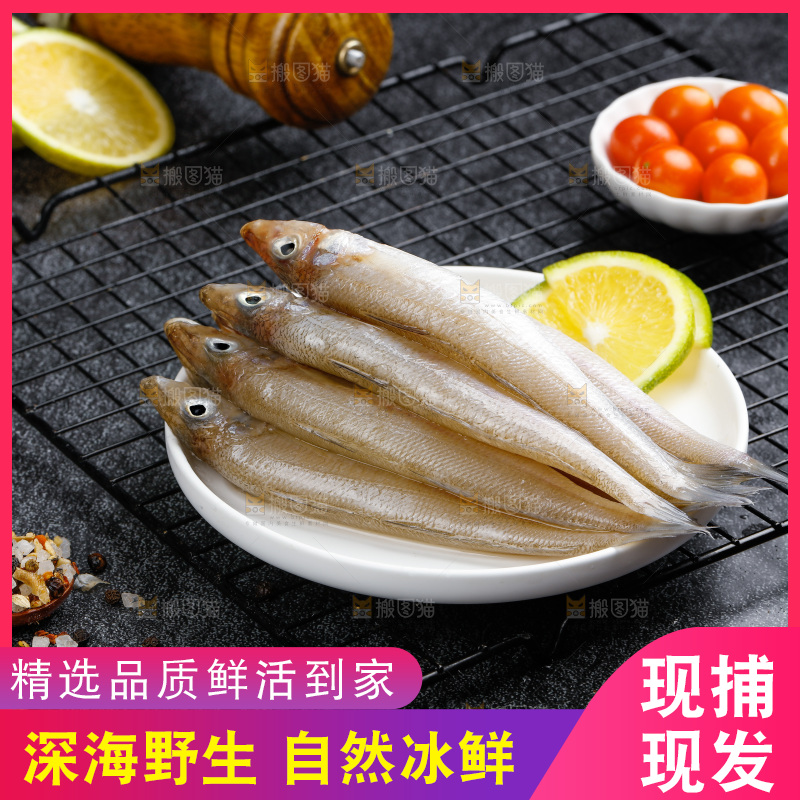 深底上的沙丁鱼