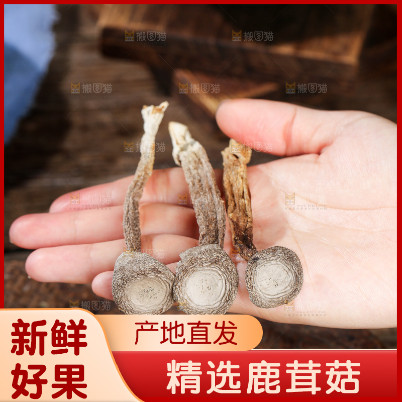 深底上的鹿茸菇