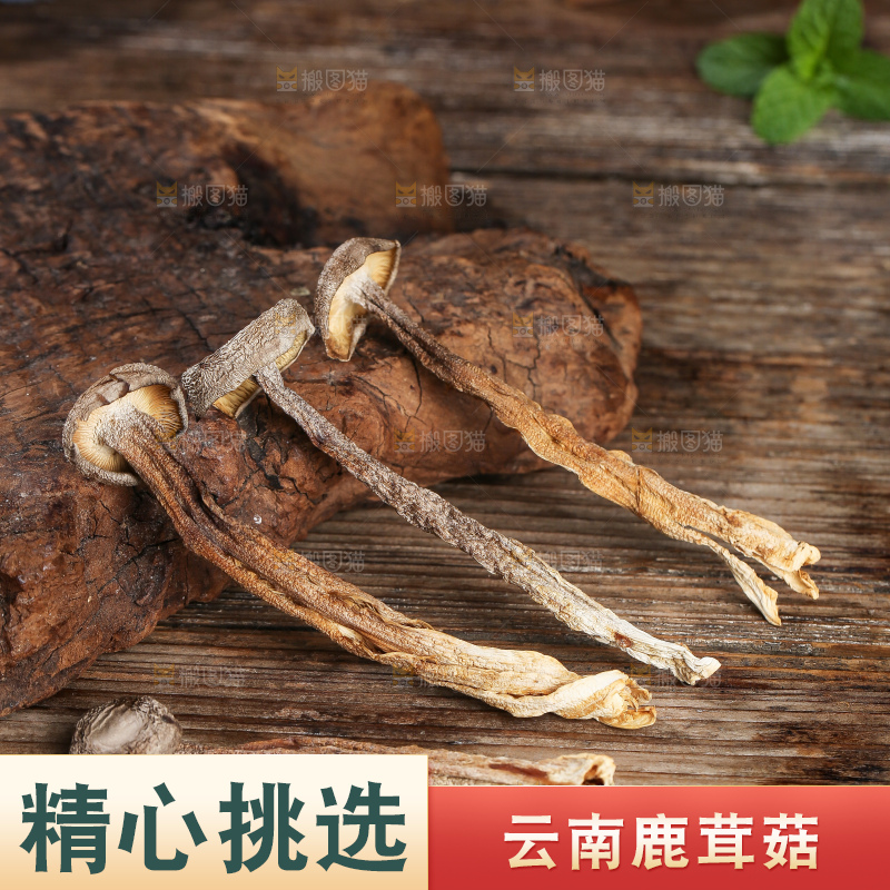 深底上的鹿茸菇