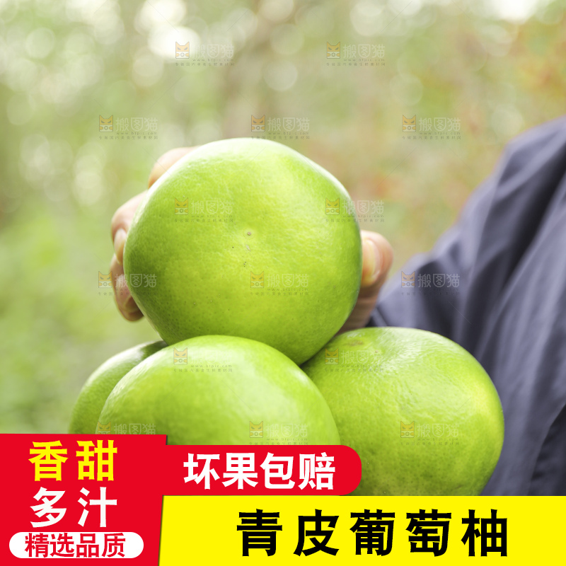 手里拿着青皮葡萄柚