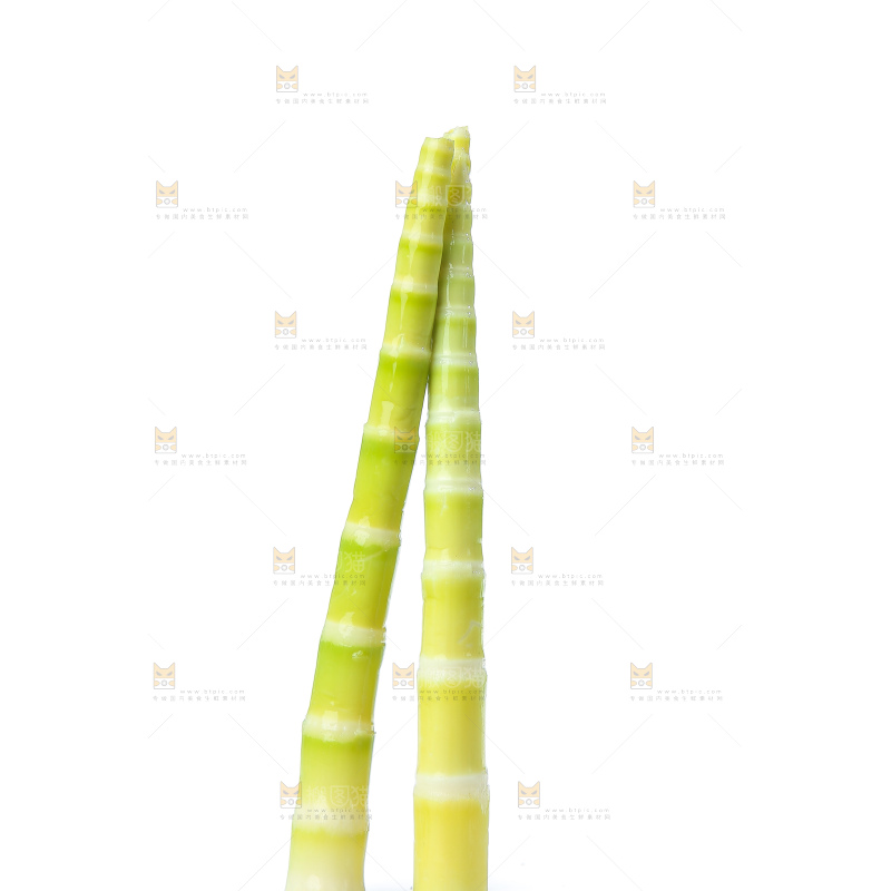 白底上的泡笋尖