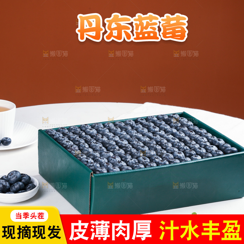 浅底上的新鲜蓝莓