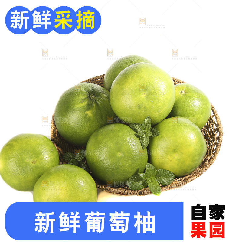 白底上的青皮葡萄柚